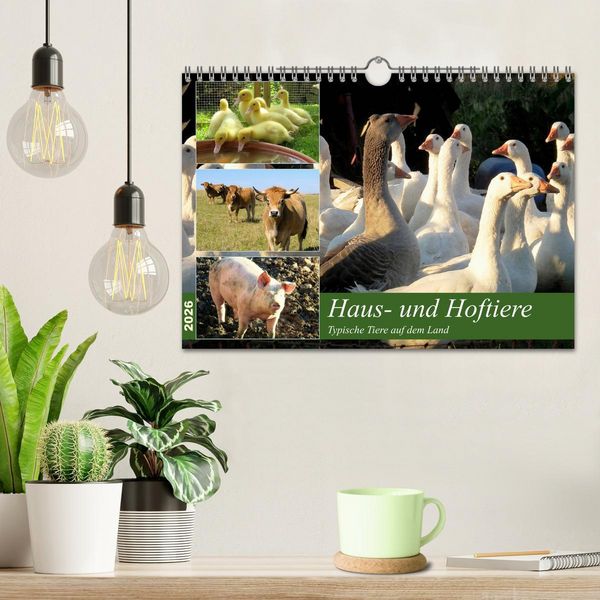Produktbild: Haus- und Hoftiere (Wandkalender 2026 DIN A4 quer), CALVENDO Monatskalender