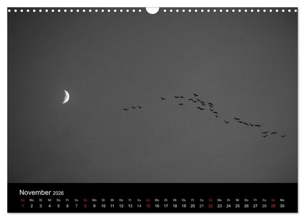 Produktbild: BLACK 'N WHITE (Wandkalender 2026 DIN A3 quer), CALVENDO Monatskalender