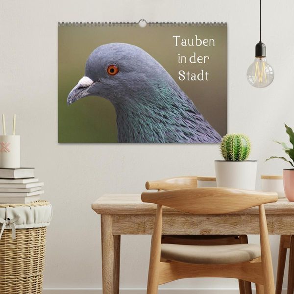 Produktbild: Tauben in der Stadt (Wandkalender 2026 DIN A3 quer), CALVENDO Monatskalender