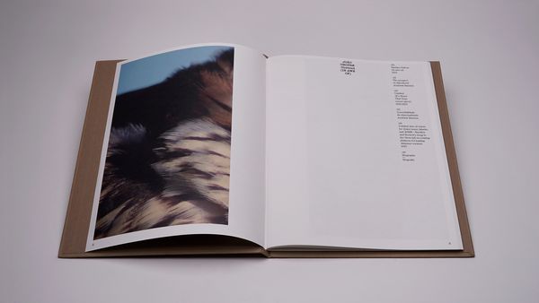Produktbild: Jo&atilde;o Onofre &ndash; Untitled (in awe of)