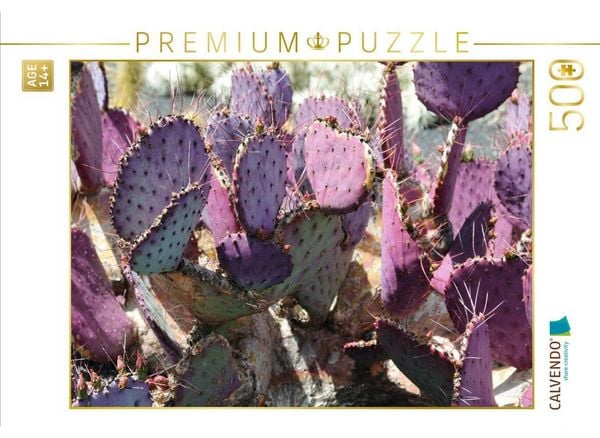 CALVENDO Puzzle Opuntia Macrocentra, Mexico | 500 Teile Lege-Größe 48 × 36 cm Foto-Puzzle für Erwachsene