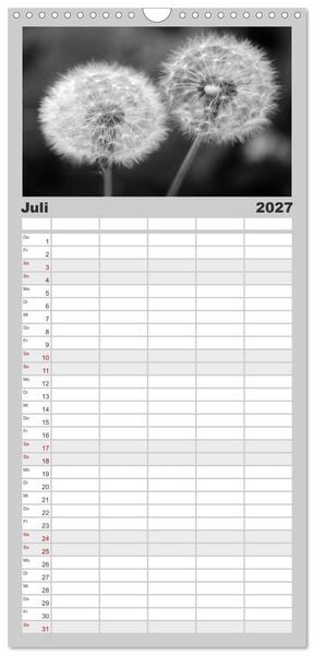 Produktbild: Familienplaner 2027 - Pusteblume - Impressionen in schwarzwei&szlig; mit 5 Spalten (Wandkalender, 21 x 45 cm) CALVENDO