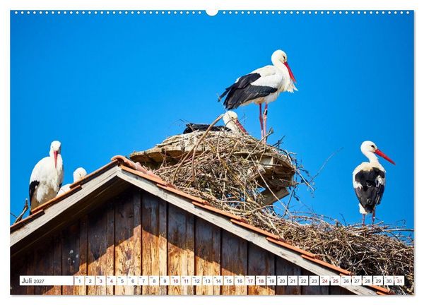 Produktbild: &Uuml;berlingen - Oase am Bodensee (Wandkalender 2027 DIN A2 quer), CALVENDO Monatskalender