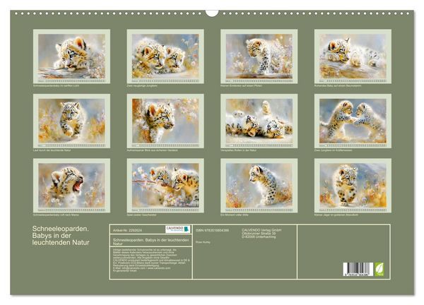 Produktbild: Schneeleoparden. Babys in der leuchtenden Natur (Wandkalender 2027 DIN A2 quer), CALVENDO Monatskalender