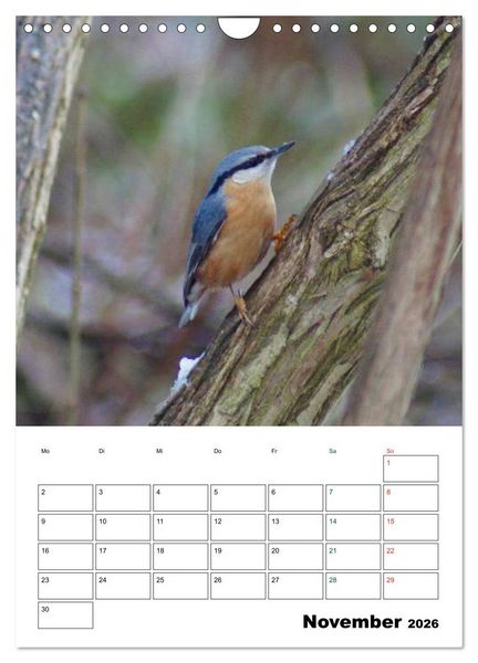 Produktbild: Heimische Singv&ouml;gel (Wandkalender 2026 DIN A4 hoch), CALVENDO Monatskalender