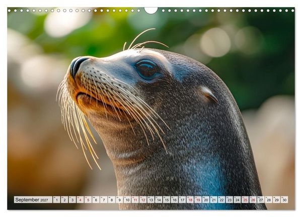 Produktbild: Faszination Robben - Zwischen Wellen und Weite (Wandkalender 2027 DIN A3 quer), CALVENDO Monatskalender