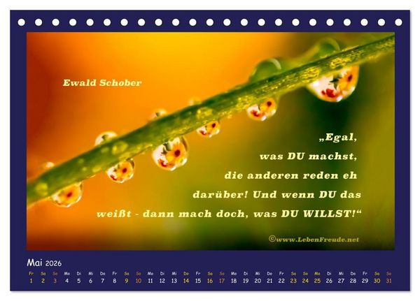 Produktbild: Bewusst leben und gl&uuml;cklich sein (Tischkalender 2026 DIN A5 quer), CALVENDO Monatskalender