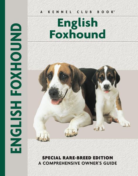 Produktbild: English Foxhound