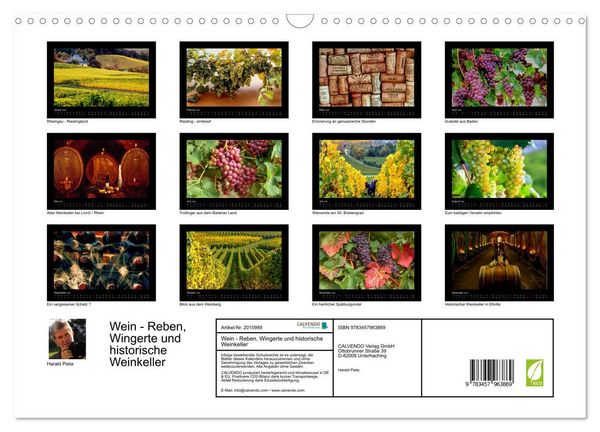 Produktbild: Wein - Reben, Wingerte und historische Weinkeller (Wandkalender 2026 DIN A3 quer), CALVENDO Monatskalender
