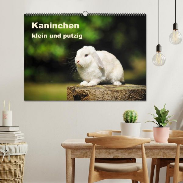 Produktbild: Kaninchen klein und putzig (Wandkalender 2026 DIN A2 quer), CALVENDO Monatskalender