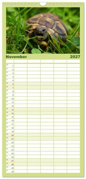Produktbild: Familienplaner 2027 - Das Leben der Schildkr&ouml;ten mit 5 Spalten (Wandkalender, 21 x 45 cm) CALVENDO