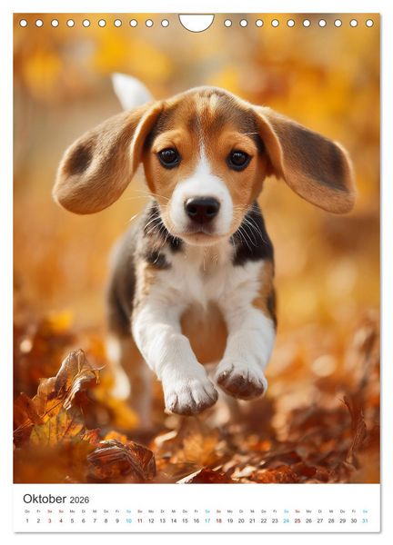 Produktbild: Best Friends Forever (Wandkalender 2026 DIN A4 hoch), CALVENDO Monatskalender