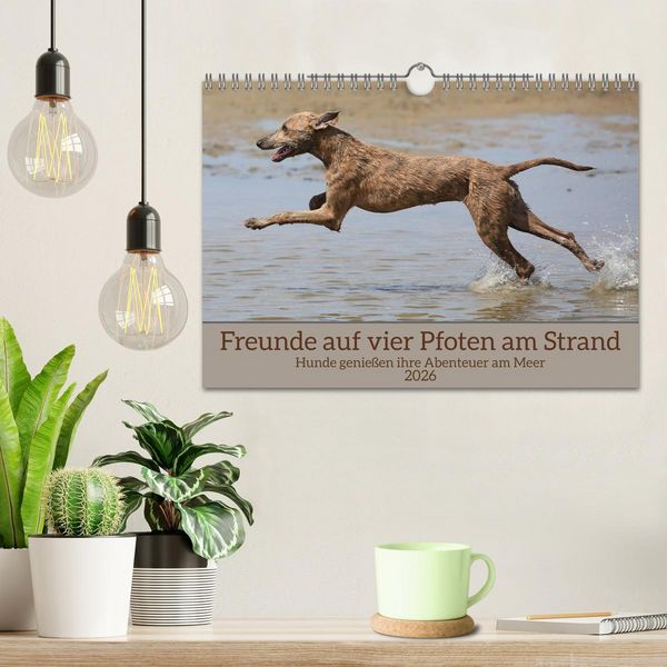 Produktbild: Freunde auf vier Pfoten am Strand (Wandkalender 2026 DIN A4 quer), CALVENDO Monatskalender