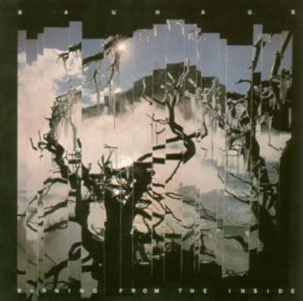 Burning From The Inside - Bauhaus, CD