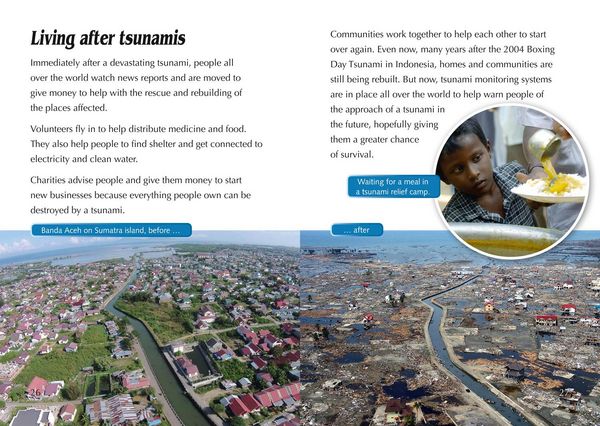 Produktbild: Tsunamis