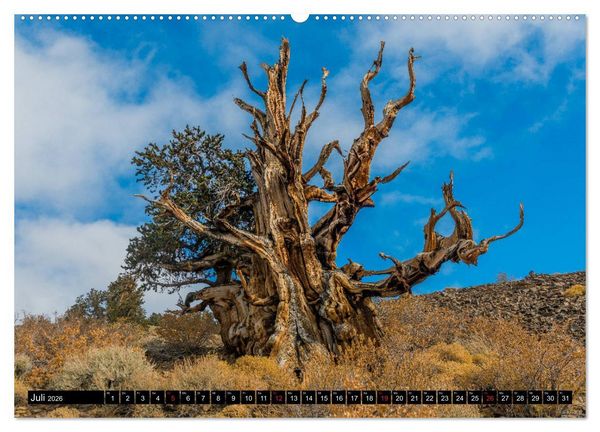 Produktbild: Entlang der Sierra Nevada (hochwertiger Premium Wandkalender 2026 DIN A2 quer), Kunstdruck in Hochglanz