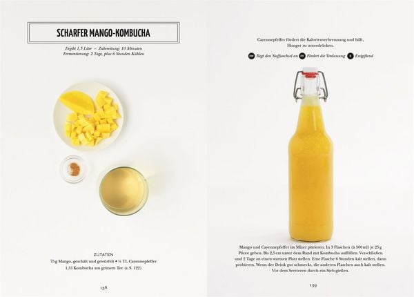 Produktbild: Fermentieren