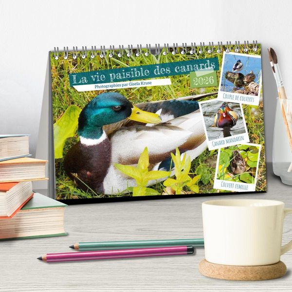 Produktbild: La vie paisible des canards (Calendrier de bureau 2026 DIN A5 vertical), CALVENDO calendrier mensuel