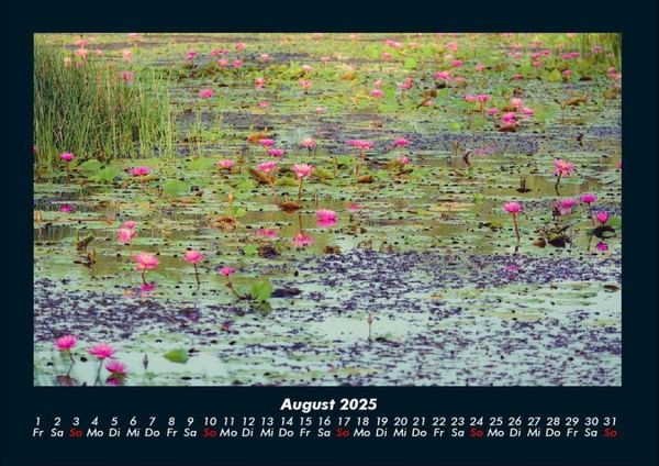 Produktbild: Rosen-Kalender 2025 Fotokalender DIN A4
