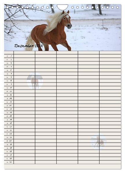 Produktbild: Haflinger Pferde - Stall- und Familienplaner 2026 (Wandkalender 2026 DIN A4 hoch), CALVENDO Monatskalender