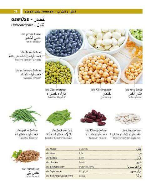 Produktbild: PONS Bildw&ouml;rterbuch Arabisch