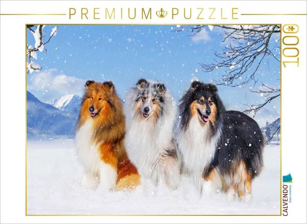 Produktbild: CALVENDO Puzzle Drei Collie-Prachtr&uuml;den | 1000 Teile Lege-Gr&ouml;&szlig;e 64x48cm Foto-Puzzle f&uuml;r gl&uuml;ckliche Stunden
