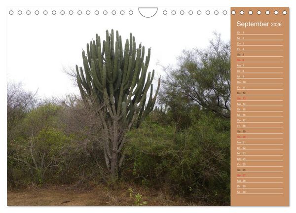 Produktbild: Bilder aus dem Chaco in Paraguay (Wandkalender 2026 DIN A4 quer), CALVENDO Monatskalender