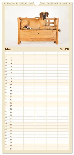 Produktbild: Familienplaner 2026 - Deutsche Doggen / Geburtstagskalender mit 5 Spalten (Wandkalender, 21 x 45 cm) CALVENDO