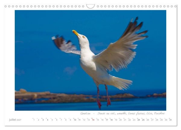Produktbild: R&ecirc;ves de Bretagne - Breizh (Calendrier mural 2027 DIN A3 vertical), CALVENDO calendrier mensuel