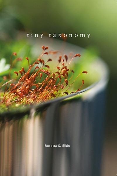 Produktbild: Tiny Taxonomy
