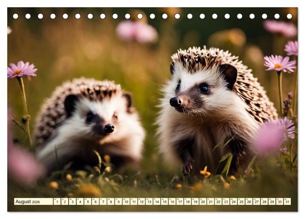 Produktbild: Igel - Wildtier des Jahres 2024 (Tischkalender 2026 DIN A5 quer), CALVENDO Monatskalender