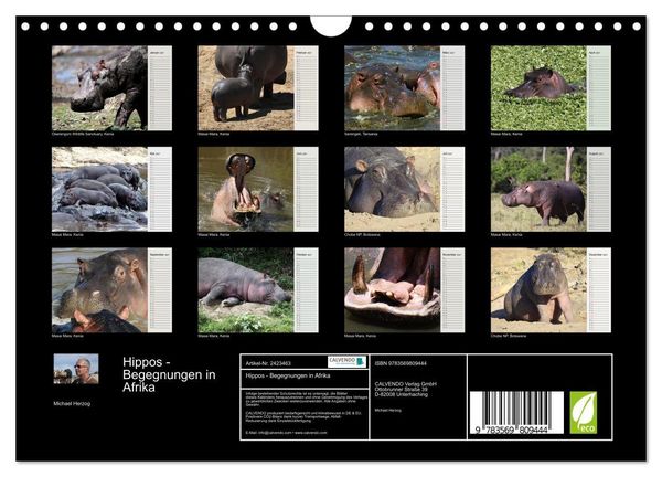 Produktbild: Hippos - Begegnungen in Afrika (Wandkalender 2027 DIN A4 quer), CALVENDO Monatskalender