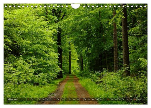 Produktbild: Feng Shui Farben - Element: Holz (Wandkalender 2026 DIN A4 quer), CALVENDO Monatskalender