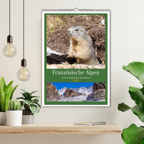 Produktbild: Franz&ouml;sische Alpen, auf den Pfaden des Murmeltiers (Wandkalender 2026 DIN A2 hoch), CALVENDO Monatskalender