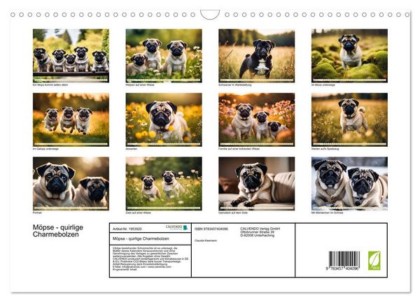 Produktbild: M&ouml;pse - quirlige Charmebolzen (Wandkalender 2026 DIN A3 quer), CALVENDO Monatskalender
