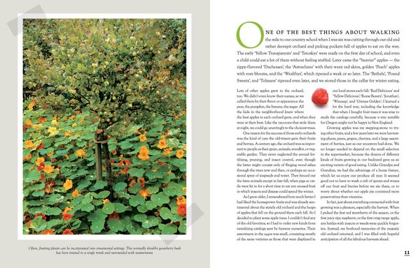 Produktbild: The Fruit Gardener's Bible