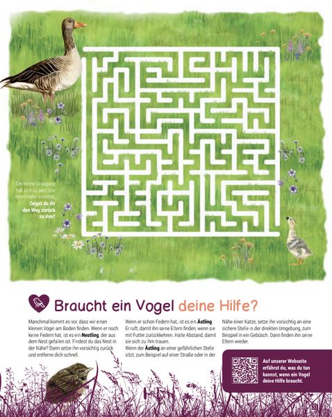 Produktbild: Birding &ndash; Entdecke die Wunderwelt der V&ouml;gel.