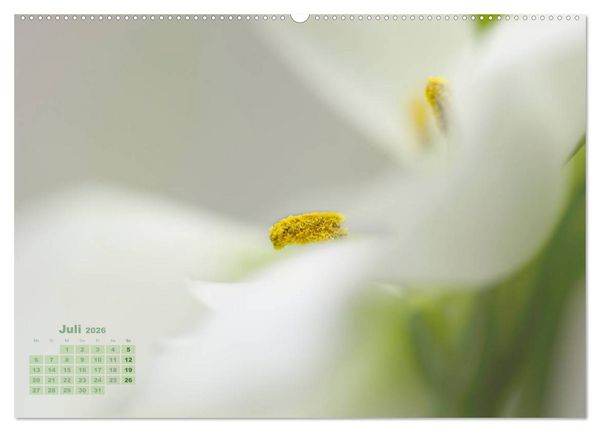 Produktbild: Zauberhafte Bl&uuml;ten (Wandkalender 2026 DIN A2 quer), CALVENDO Monatskalender