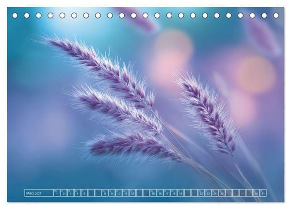 Produktbild: Lichtspiele der Natur (Tischkalender 2027 DIN A5 quer), CALVENDO Monatskalender