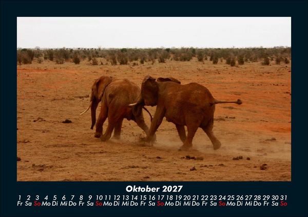 Produktbild: Elefanten 2027 Fotokalender DIN A5