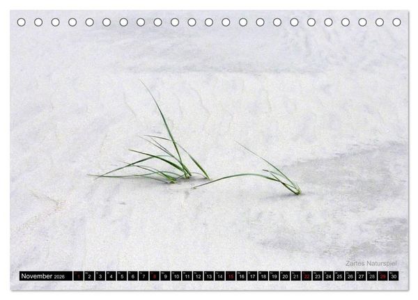 Produktbild: T&ouml;werland Juist (Tischkalender 2026 DIN A5 quer), CALVENDO Monatskalender