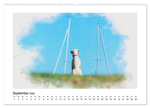 Produktbild: Ostsee Aquarelle (Wandkalender 2026 DIN A2 quer), CALVENDO Monatskalender