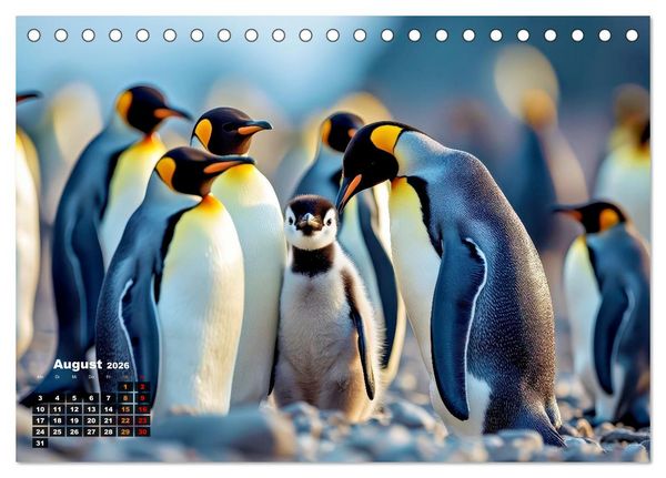 Produktbild: Mit den Pinguinen (Tischkalender 2026 DIN A5 quer), CALVENDO Monatskalender