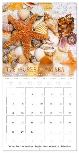 Produktbild: Life is better at the sea (Wall Calendar 2026 12 &times; 12 Inch) CALVENDO 12 Month Wall Calendar