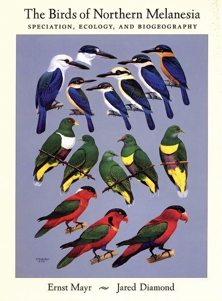Produktbild: The Birds of Northern Melanesia