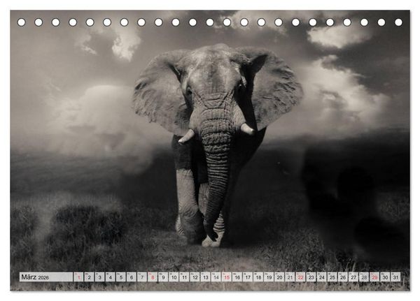 Produktbild: Wilde Tiere in schwarz-wei&szlig; (Tischkalender 2026 DIN A5 quer), CALVENDO Monatskalender