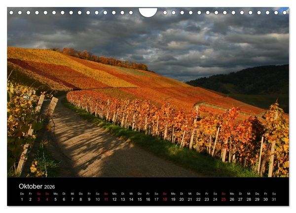 Produktbild: Mein Ortenaukalender 2026 (Wandkalender 2026 DIN A4 quer), CALVENDO Monatskalender