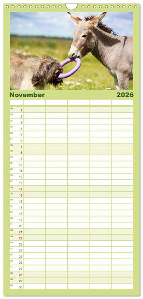 Produktbild: Familienplaner 2026 - Das Esel-Paradies - Hunde und andere Feunde mit 5 Spalten (Wandkalender, 21 x 45 cm) CALVENDO