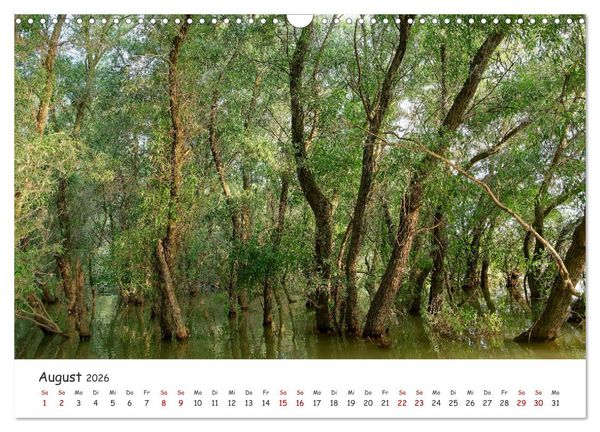 Produktbild: Donau-Delta (Wandkalender 2026 DIN A3 quer), CALVENDO Monatskalender