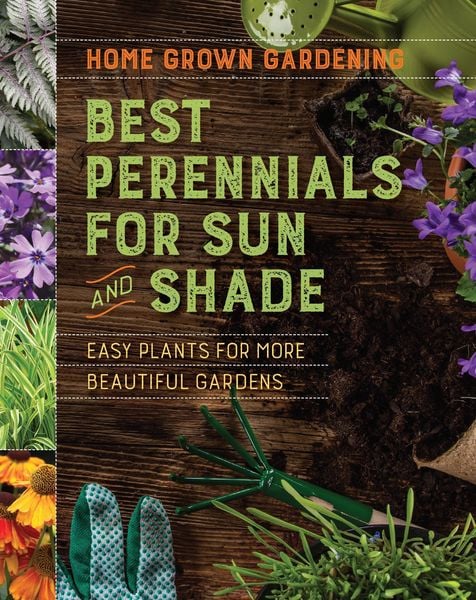 Produktbild: Best Perennials for Sun and Shade